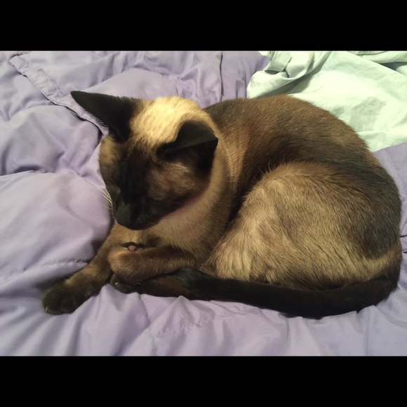 Meet your Posher, Maureen - Picture 1 of 1